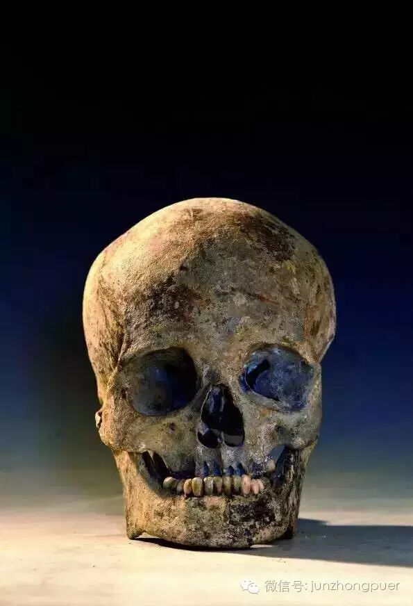 经文物工作者精心修复后的第三代蜀王僖王朱友埙的头骨.