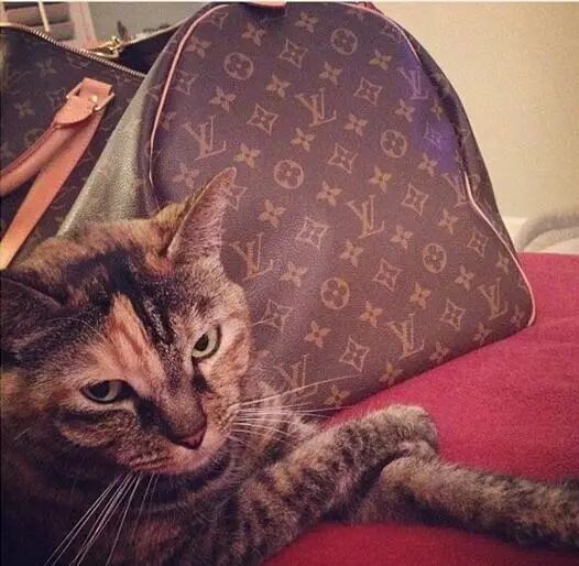 伐开心,买个lv包包