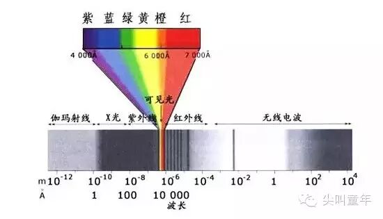 四种光源测试下来,蓝光对色素上皮细胞影响最大,白光次之,红光再次之