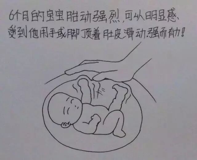 趣味他描绘出老婆从孕到产的所有细节