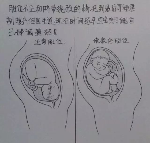 写程序帮大家解越南数学题的那位隔壁的程序猿同事,他的孩子刚刚出生