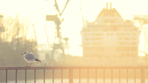 1月再见 2月你好