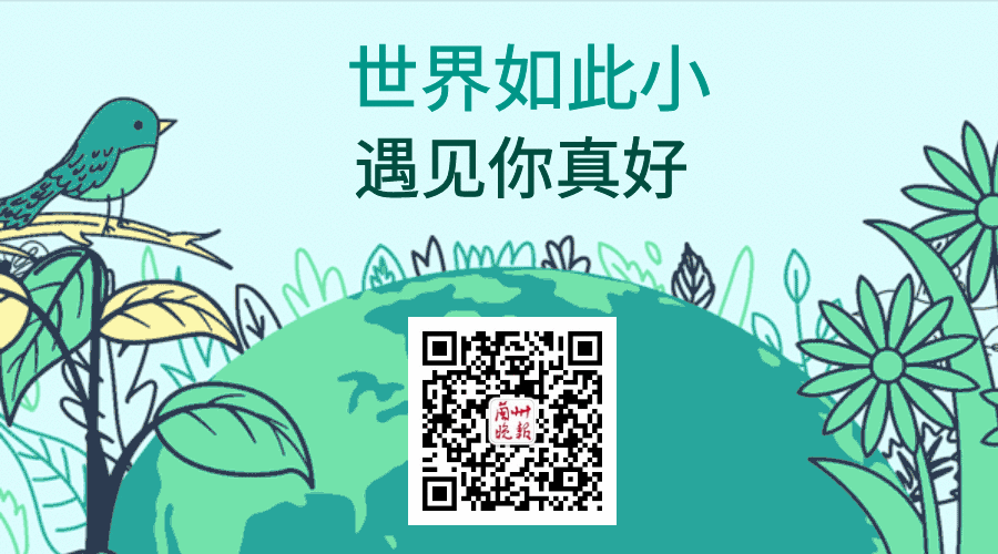 蚊子写作文图片_60只蚊子写作文_蚊子写作文一年级