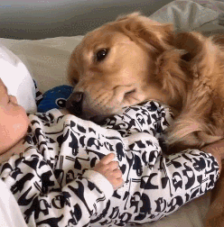 我家狗以為，它是我親生的…… 寵物 第6張