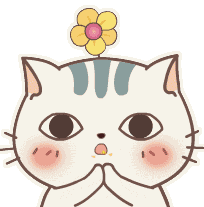 小猫咪