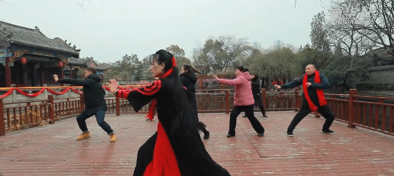 40岁后，每天练习五禽戏，祛湿气，调理脏腑，腰好、腿好、睡好、体质好