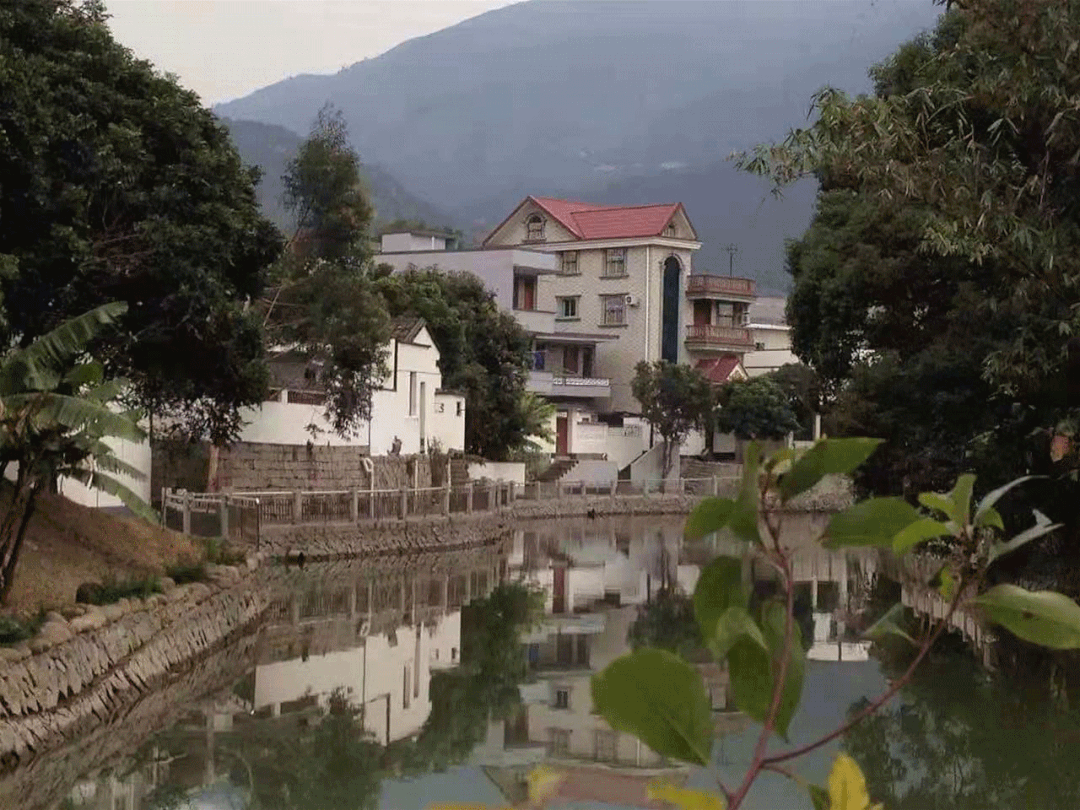 五竹村的乡村振兴密码盘活土地资源做好山水文章