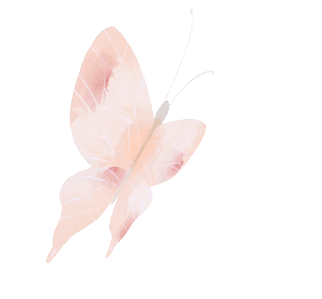 妇科脉冲怎么回事个性化定制盆底疾病治疗，精准护航您的盆底健康！_https://www.jmylbn.com_新闻资讯_第4张