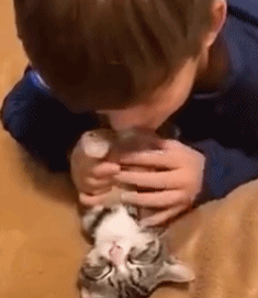 这个皇帝太痴狂！为猫写祭文超度，还用金棺下葬- 撸猫教授 微信公众号 