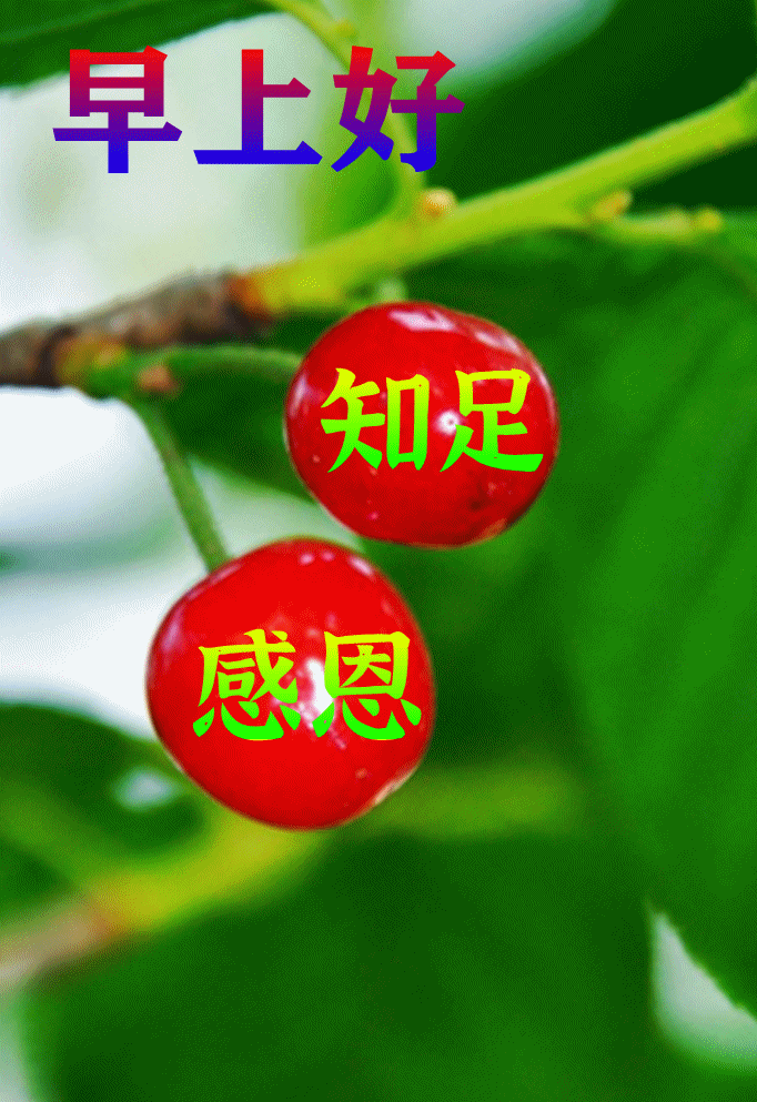 对老年人的祝福语早上好短信问候和祝福尤其是美好的早上问候图片