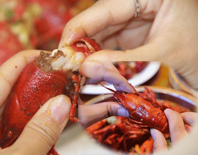 小龙虾 吃小龙虾的乐趣在于享受整个剥虾的过程.