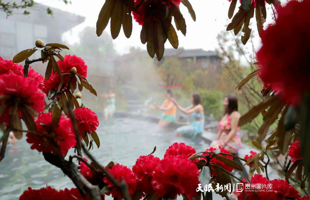 彝山花谷景区:杜鹃花香温泉暖