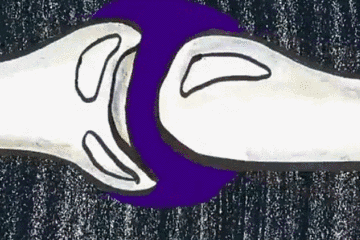 timg.gif 图片