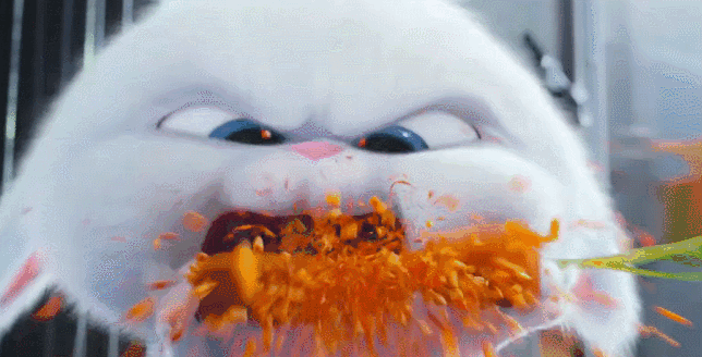 644_328gif 动态图 动图