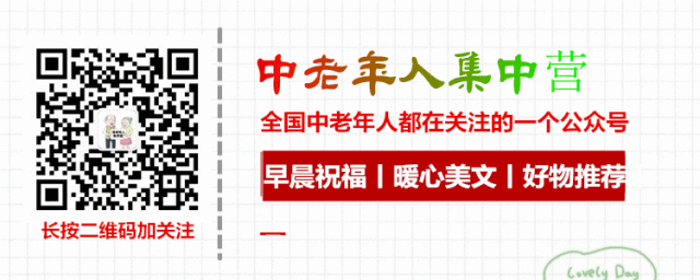 世界最美菊花 太美太珍贵了 岁月信箱 微信公众号文章阅读 Wemp