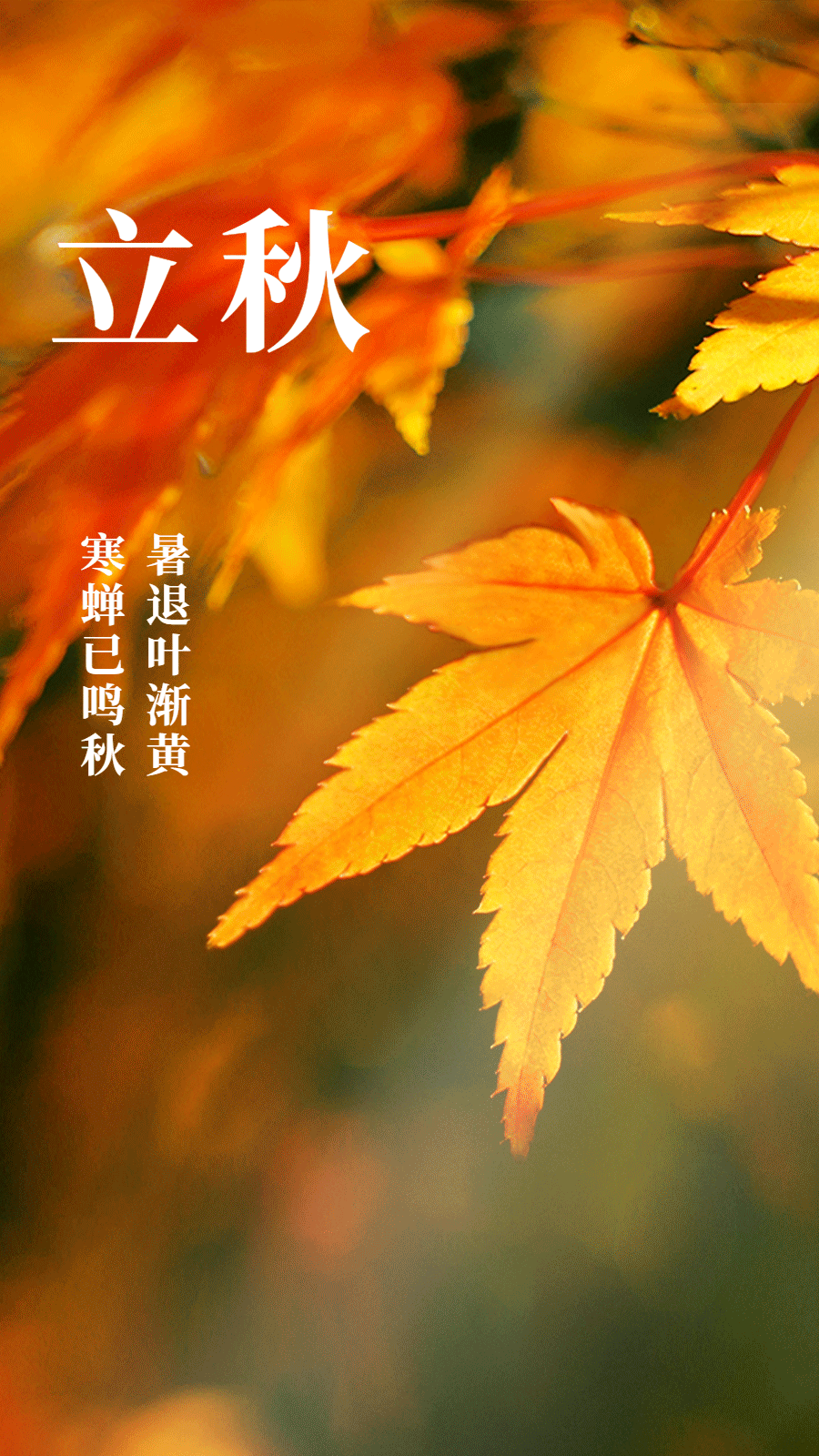 【节气养生】今日立秋,阳气渐收,阴气渐长,养生谨记有三防,饮二茶,吃