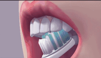 【口腔健康】牙膏越貴越好？貓膩有哪些？別花冤枉錢！ 健康 第9張