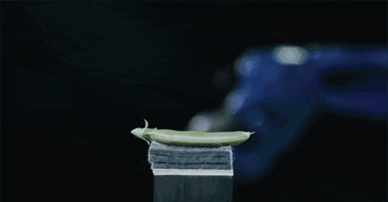 【5/17更新】机器人关节如何做到精准控制的，原来内部结构这么复杂！的图1