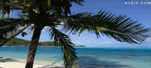 误区椰子汁椰子水别再傻傻分不清