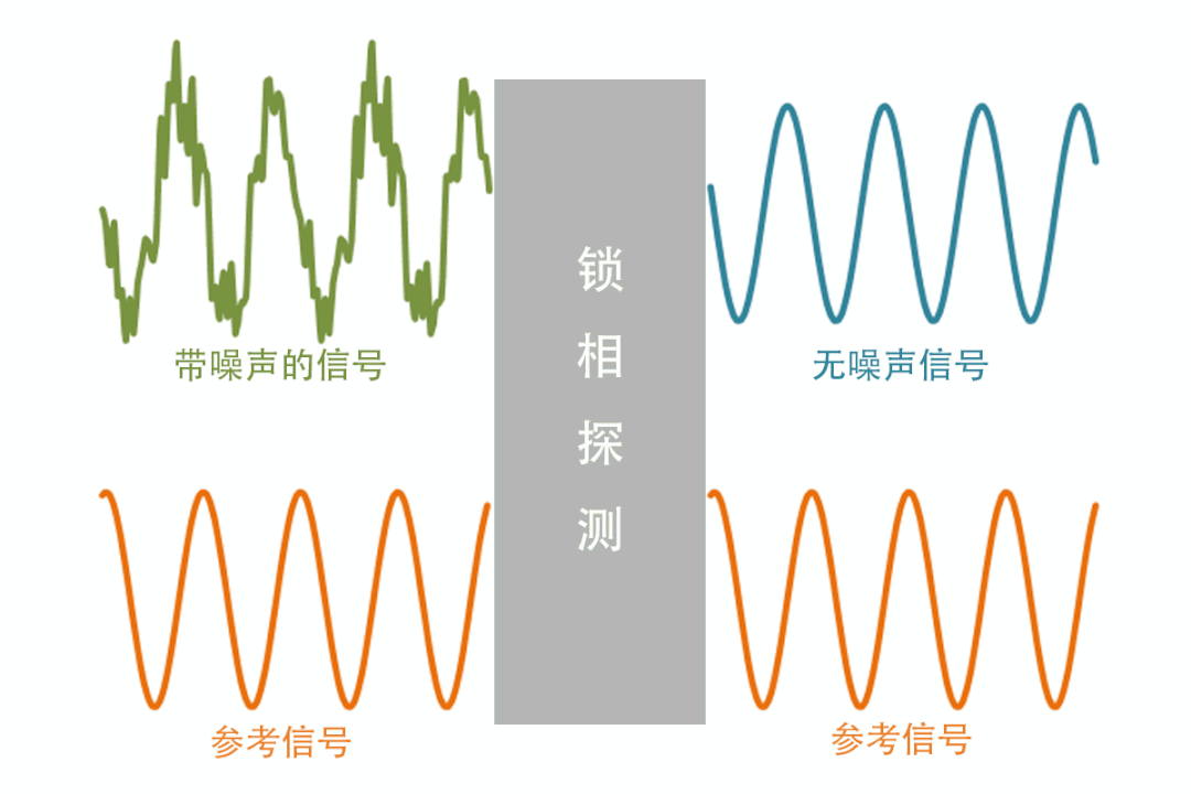 “解密”生物分子：超分辨锁相探测技术 行业新闻 第2张