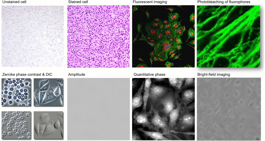 无标记定量相位三维显微成像的新范式——光强传输衍射层析 行业新闻 第1张