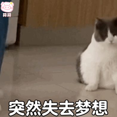 试管知识 | “鹊桥”积水也会影响试管成功率！