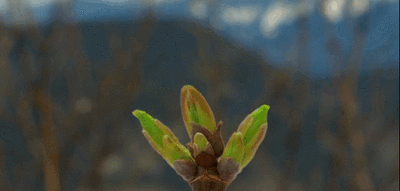 实现试管好“孕”的几个小妙招，你造吗?