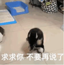 是“谁”偷走了男性成就“爸业”的权利?