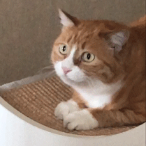 有些男性的不育是基因的问题！