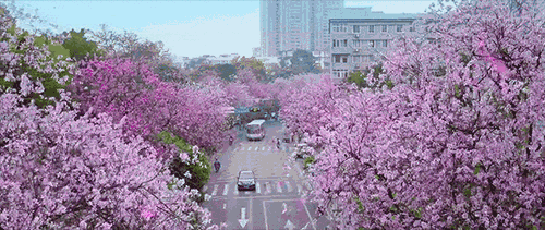 微信图片_20190326233332.gif