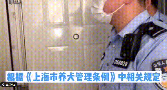 狗狗因年老被棄路邊還被車撞，主人：狗老了不想養了，警方：罰！ 寵物 第4張