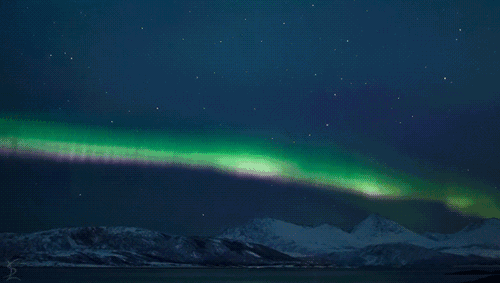 剧透可能是史上最多的北极光线路看极光还有证件颁发