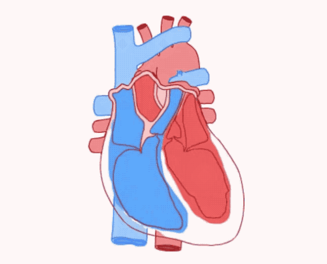 专家谈科普危险的心动感觉房颤你了解多少