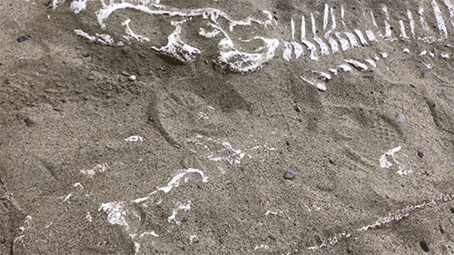 萬聖節撞鬼攻略 | 天青色等艷遇，而我在等「鬼」 靈異 第45張