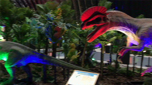 萬聖節撞鬼攻略 | 天青色等艷遇，而我在等「鬼」 靈異 第43張