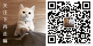 猫咪大型吐舌犯规现场!!!-微信头条网 猫咪大型吐舌犯规现场!!!