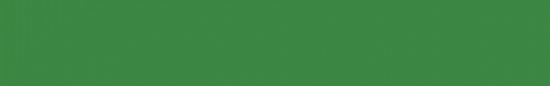 中药专题孙贵才教授团队揭示淫羊藿提取物对骨质疏松症的治疗代谢生物标志物