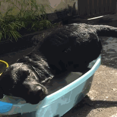 400_400gif 动态图 动图