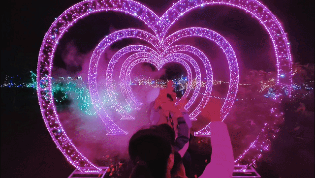 贵港191是什么医院首秀贵港！荷美覃塘 湖美四季梦幻西游主题夜游季9月28日起迎客！门票免费送！_https://www.jmylbn.com_新闻资讯_第35张