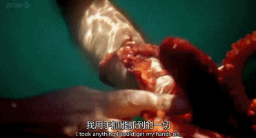 1526976875491101.gif