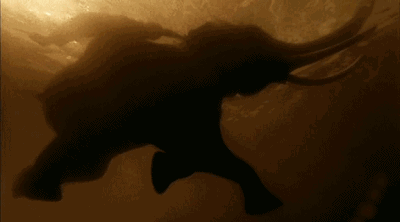 1522723241746122.gif