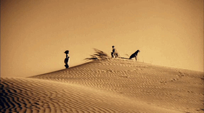 1522724871216914.gif