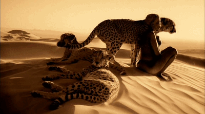 1522725527105256.gif