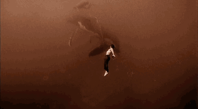 1522723658281981.gif