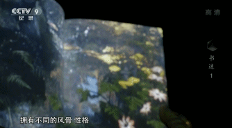 1525422521677120.gif