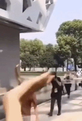 640?wx_fmt=gif&tp=webp&wxfrom=5&wx_lazy=1