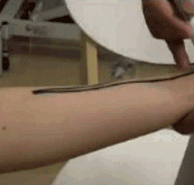 5秒自我测试：你是不是也得了“手机手”？