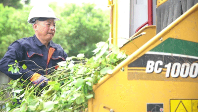 驭林移动式粉碎设备，打造树枝修剪清理新模式