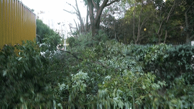 驭林移动式粉碎设备，打造树枝修剪清理新模式