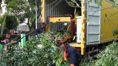 驭林移动式粉碎设备，打造树枝修剪清理新模式